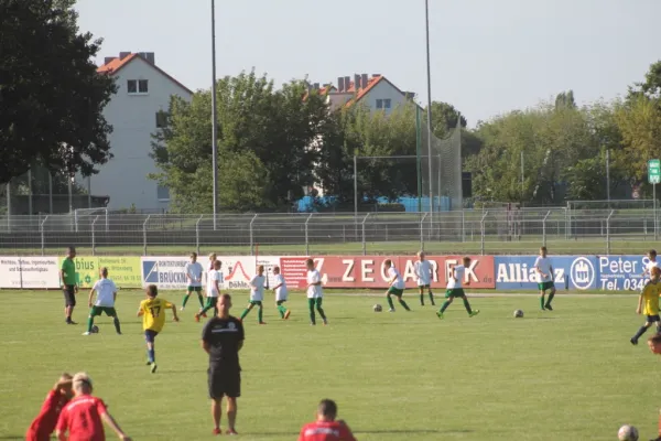 Zegarek-Cup 2015