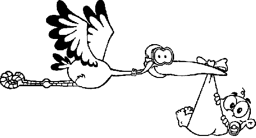 Piesteritzer Kicker bekommt Nachwuchs