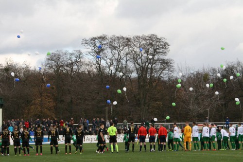 Bildergalerie vom Pokalspiel