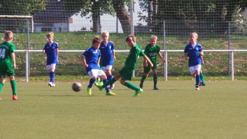 Sommerturniere im Nachwuchs