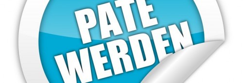 Patenschaften zum Zegarek-Sommer-Cup