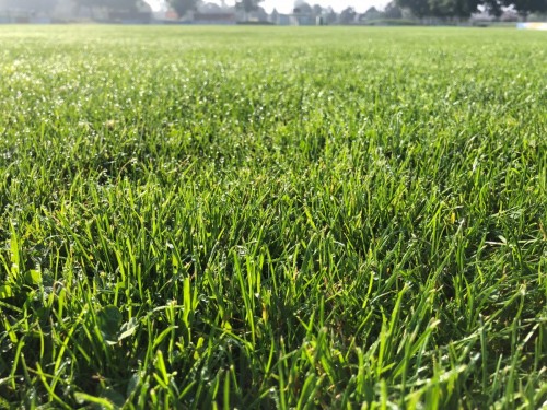 Ungeschlagen-Serie setzt sich fort!