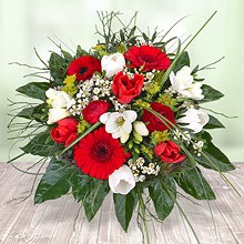 Ein dank an alle Helfer bei unseren Hallenturnieren