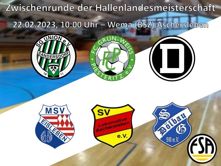 Hallenlandesmeisterschaft der D-Junioren