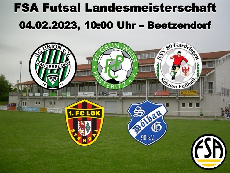 FSA Futsal Landesmeisterschaft der D-Junioren