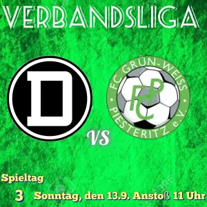 D-Jugend sammelt weitere Erfahrungen in Dessau