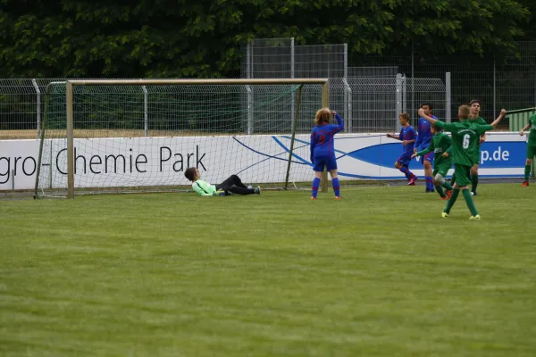 D-Jugend Korro-Trend-Cup 2015