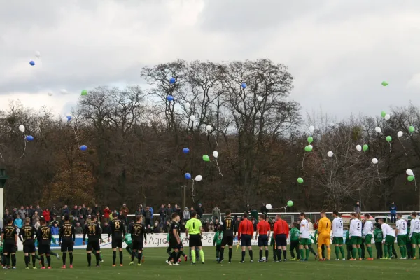 Pokalspiel vs. 1.FC Magdeburg