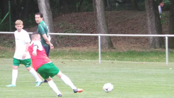 Testspiel gegen den SV Reinsdorf