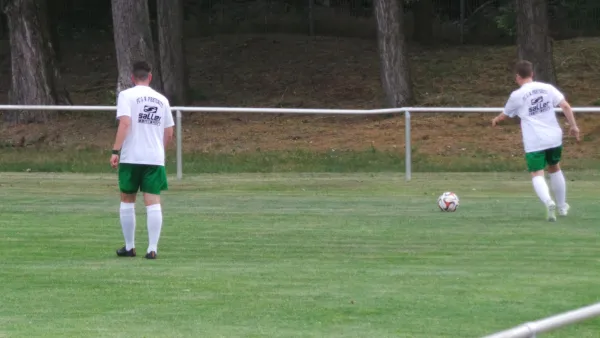 Testspiel gegen den SV Reinsdorf