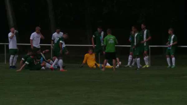 Testspiel gegen den SV Reinsdorf