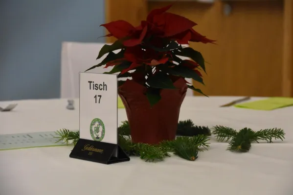 Grün-Weiße Nacht 2019