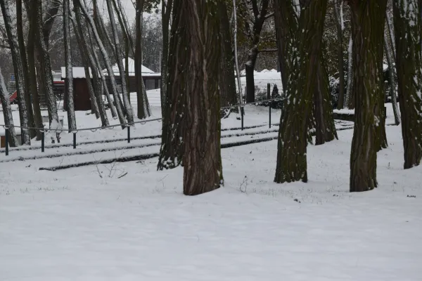 Volkspark im Schnee 2022