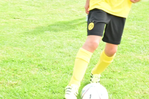 BVB Fußballakademie 2023