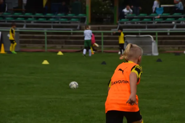 BVB Fußballakademie 2023